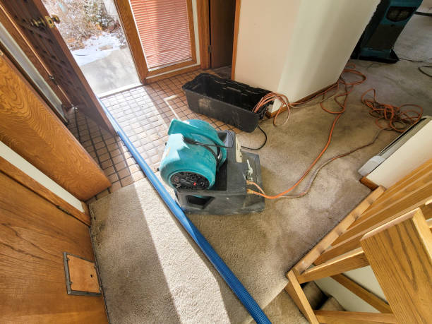 Best Flood damage cleanup  in The Village Of Indian Hill, OH