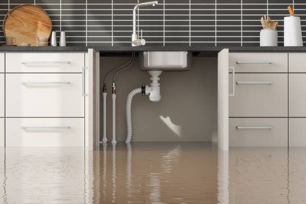 Best Water damage contractors near me  in The Village Of Indian Hill, OH