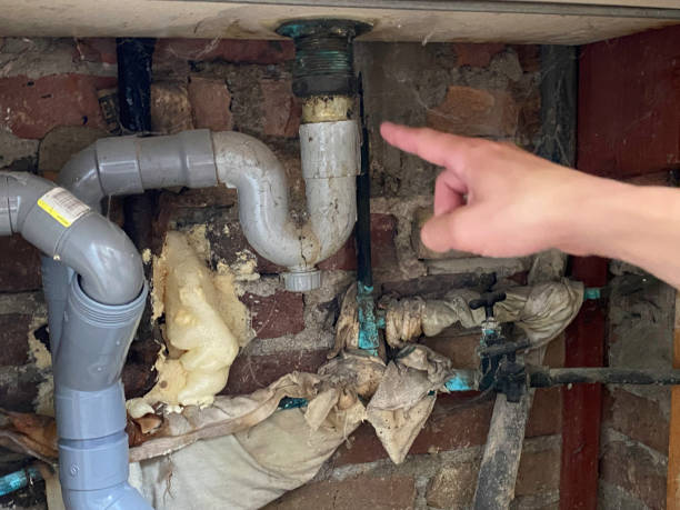 Best Water damage cleanup near me  in The Village Of Indian Hill, OH
